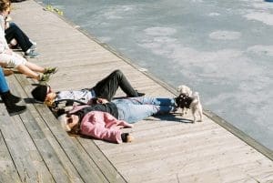 5 Essential Workplace Rights Every Service Dog Handler Must Know